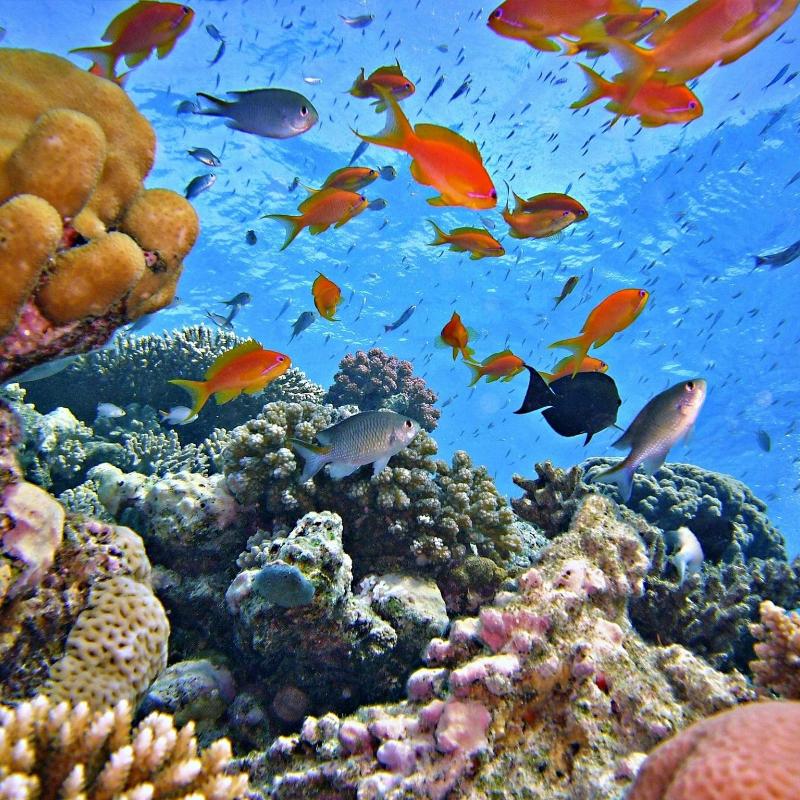 Hurghada